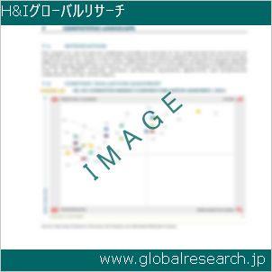 グローバルリサーチ調査レポートのイメージ